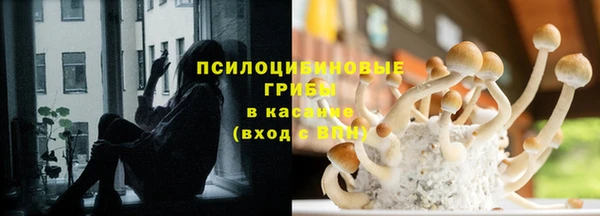 mix Абаза