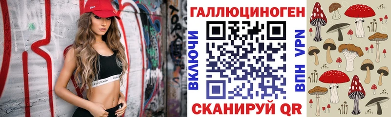 Галлюциногенные грибы Psilocybe  где купить   Чулым 